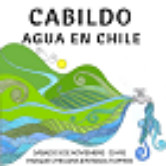 Estudiantes de Ingeniería Civil realizaron Cabildo del Agua en Chile 