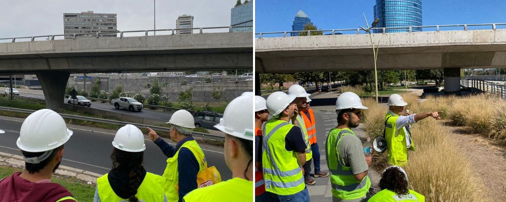 Puente PI Pérez-Zujovic Norte & Viaducto Pdte Riesco (ciclovía)